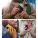 Mercury Rich Diary Wallet Case wallet storage feature